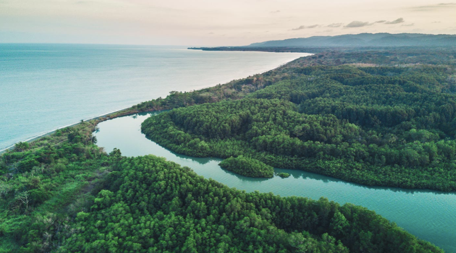 View above river delta and beach in jungle