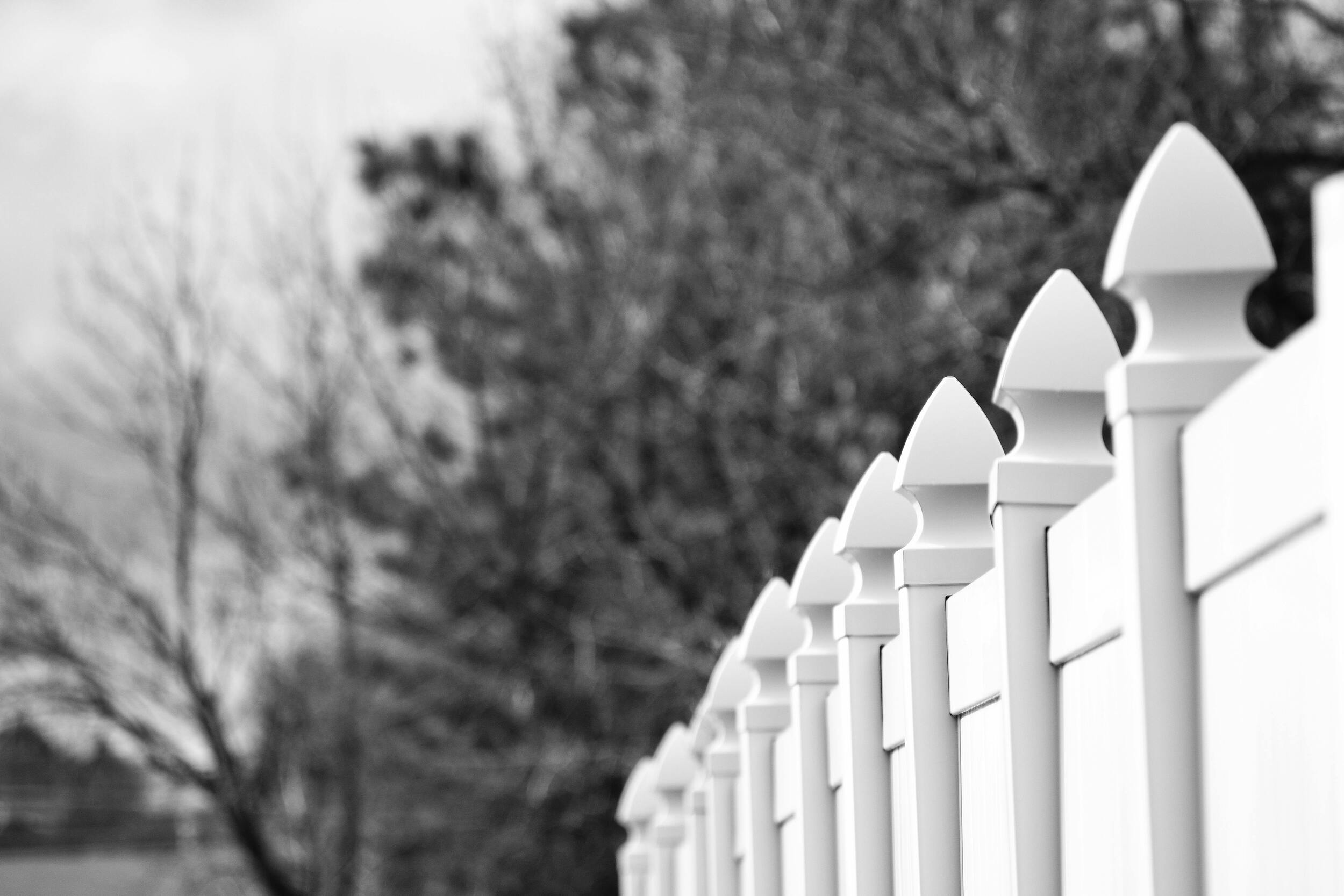 pexels-brett-sayles-942469